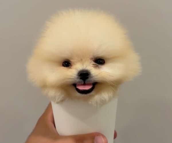IMG-20250625-WA0037